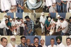 Father's day celebration at Biradh Ashram rongla Bhadson Road Patiala-June 2024