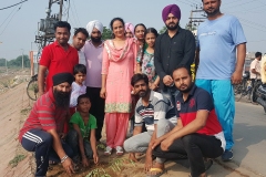 Plantation At Waddi Nadi July 2016