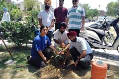 Plantation in the memory of Journalist Kamboj - June 2024